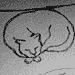 060220-SleepyCat.gif