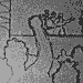 051015-pulse-concert.gif