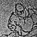 051015-pulse-sjohnson.gif