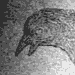 070412-Raven.gif