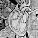 081108-HeartPDX.gif