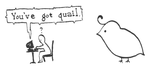 050210-quail.gif