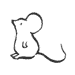 050210-mice.gif