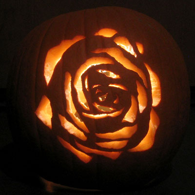 051024-Rose.jpg