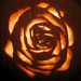 051024-Rose.jpg
