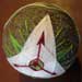 081007-Trillium.jpg